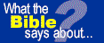 What the Bible Says

                         About...